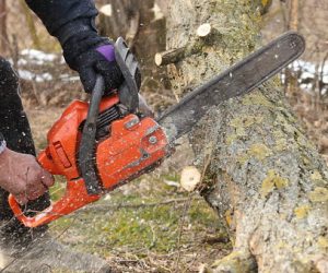 Storm Debris Might Not Be Covered