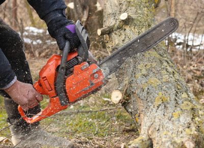 Storm Debris Might Not Be Covered