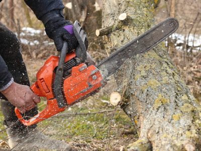 Storm Debris Might Not Be Covered