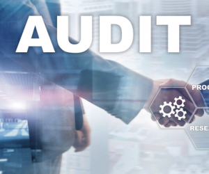 insurance audit